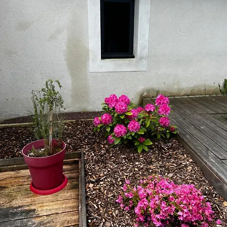Les Hetres Inseparables Aux Portes Du Dday