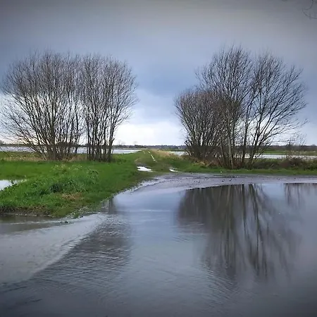 Les Hetres Inseparables Aux Portes Du Dday * Bernesq